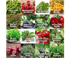 Set di semi vegetali indoor mix - semi perfetti (100% semi naturali) per balcone, serra, appartamento, terrazza, davanzale - tasso di germinazione quasi al 100