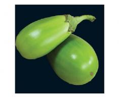 25 Applegreen MELANZANE verde frutta/verdura semi Solanum melongena