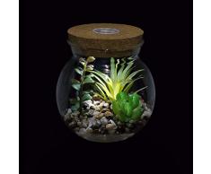 Piante Artificiali Succulente in Vasi da Terrario Marimo con Design a Luce Bianca a LED in Sughero, Piante Finte Mini Finto Cactus Bonsai da Interno Desktop Decorazione per Camera da Letto e Soggiorno