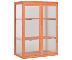 vidaXL Serra in Legno Pannelli PC Giardino 2 Ripiani Vivaio Protezione Piante