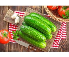 Cetrioli Semi di polipo - Cucumis sativus