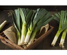 Semi di aglio Scalogno sempreverde Cipolla bianca lunga Giardino Verdura Foglia biologica Semi freschi per piantare 10g Circa 3000 + Interno o esterno per condimento piatto da cucina a pesce