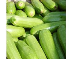 Haloppe 50Pcs Semi di Zucchine Ortaggi per la Piantagione del Giardino di Casa, Semi di Zucchine di Zucca Estiva Orto Nutriente Pianta da Tetto della Fattoria Semi Di Zucchine