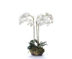 Set 2 x di Orchidea artificiale Phalaenopsis PABLA con terriccio, bianco-giallo, 80 cm - 2 pezzi di Pianta da interno / Pianta appartamento - artplants