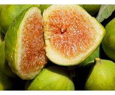 Fico Fiorone Petrelli - Varietà di origine barese Pianta da Frutta