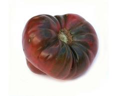 Semi di pomodoro, nero Brandywine, nero Pomodori, non-OGM Heirloom Pomodori, 50CT