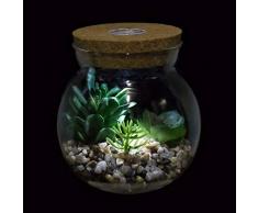 Succulente Piante Artificiali-Terrario di Cristallo Trasparente Fioriera -Design a LED Light Cork-Mini Pianta Finta Cactus Finto in Vaso Bonsai- Interno Decorazioni per Soggiorno in Camera da Letto