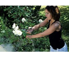 Ribiland PRSFD08 Forbice Giardino, 200 mm, Lama Dritta, Verde/Argento, 0.123x0.123x0.123 cm