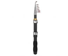 Canna da Pesca Tasca Mini Canna da Pesca per Pesca in Mare Pesca DAcqua Dolce in Mare Aperto(1.9M) Canna da pesca e suoi accessori