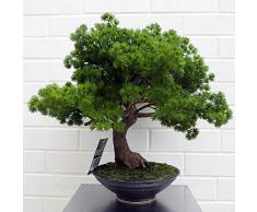 Leaf Artificiale, Bonsai di Pino, 50 cm