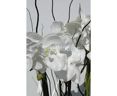 Grande pianta artificiale di Orchidea Phalaenopsis, colore: bianco con motivo floreale