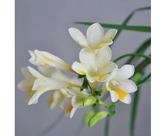 10pz bulbi di fresia bianca bulbi di fiori perenni bulbi di piante in vaso profumi incantevoli facile da curare per la piantagione del giardino di casa