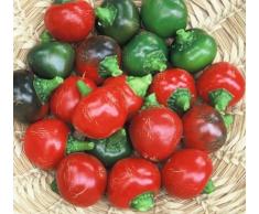 30 semi di Red ciliegio dolce - peperoni dolci