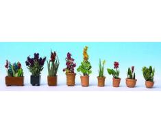Piante ornamentali in vaso HO (9 pz)