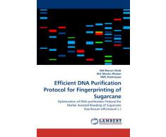 Efficient DNA Purification Protocol for Fingerprinting of Sugarcane: Optimization of DNA purification Protocol for Marker Assisted Breeding of Sugarcane (Saccharum officinarum L.)