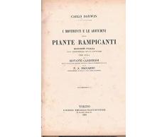 I MOVIMENTI E LE ABITUDINI DELLE PIANTE RAMPICANTI