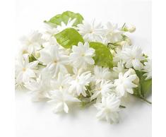 semi gelsomino pianta di gelsomino vero gelsomino Pianta profumata al gelsomino Stella toscana Jasmine Wilder Wine Piante rampicanti di piante rampicanti Semi di fiori 50pezzi