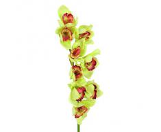 Euro Palms 82530313, Pianta Ornamentale: Ramo di Cymbidium, 90 cm, Verde (Grün)