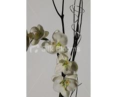 Avorio di orchidea Phalaenopsis artificiale In vaso a cubo con effetto specchio
