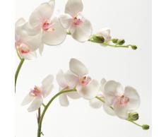artplants Orchidea artifciale Phalaenopsis PABLA con terriccio, bianco-rosa, 70 cm - Orchidea ornamentale/Fiore artificiale