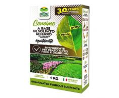 Albagarden Solfato Di Ferro Granulare- Concime E Fertilizzante Naturale, Rinverdente Fogliare E Acidificante Della Terra - Per Prato, Piante Verdi, Alberi, Orto, Piante In Vaso x 1 kg