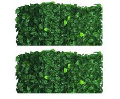 Siepe sempreverde blinky lauro 1x3 mt