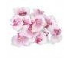 20pcs 9 Centimetri Seta Artificiale Farfalla Teste Di Orchidea Decorazione