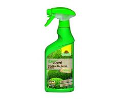 Neudorff biokraft Vitalkur per Buxus & Ilex (pronto per l' uso) 500 ML