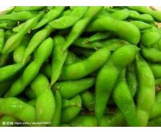 Trasporto libero 1 Pack 20 di Edamame semi, soia semi di soia Verde Verdura C032
