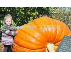 Vendita caldi 10pcs Giant Pumpkins semi Bonsai sementi di ortaggi e frutta semi fai da te il giardino domestico