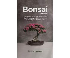 Bonsai Für Anfänger: Der praktische Leitfaden zur Kultivierung & Pflege dieser lebendigen Kunstform
