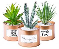Odezza Piante artificiali in vaso da 10 x 16 cm, set di 3 piante grasse in oro rosa | pianta artificiale piccola in vaso | cactus artificiale piccole piccole piante artificiali in vaso