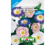 Sementi da fiore di qualità in bustina per uso amatoriale (CONVOLVOLO O BELLA DI GIORNO IN MISCUGLIO)