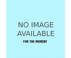 Un lichene epifillo su una Palma di serra dellOrto botanico di Firenze.