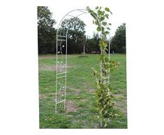HAFIX - Arco per Rose, Misura XXL, Colore: Bianco