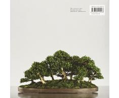 Bonsai: A Patient Art: The Bonsai Collection of the Chicago Botantic Garden