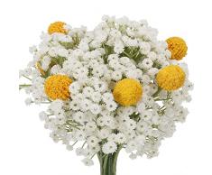 HUAESIN Bouquet Fiori Finti Fiori Gypsophila Artificiali Fiori Finti da Interno Mazzo Fiori di Plastica Giallo Fiori Finti per Decorazioni Casa Matrimonio Tavolo Balcone Cimitero