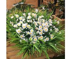 ARTIFICIAL FLOWER HOME Margherite artificiali Fiori resistenti ai raggi UV esterno falso fogliame verde piante finte arbusti cespugli di plastica per scatola di finestra appeso piantatrice Agriturismo