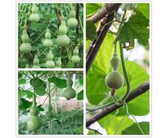 hua xian zi 40 semi di frutta piccola bottiglia di zucca verdura