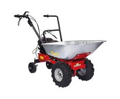 1PZ MOTOCARRIOLA CARRY 450 cc.125