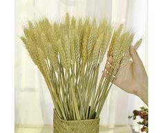 TooGet Mazzo di Grano Essiccato per Bouquet di Fiori, 100 Pezzi Naturali di Steli di Grano, Erba Secca, Composizioni DIY per Casa, Matrimoni, Negozi Decorativi