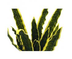 Euro Palms 82530577, Pianta Ornamentale: Sansevieria Eva, 50 cm, Verde (Grün)