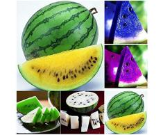 VISTARIC MIX: 30PCS multicolore anguria Semi di cocomero gigante organici semi di frutta verdura nuova varietà vegetale per il giardino di casa