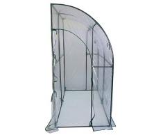 SF SAVINO FILIPPO Serra casetta a Parete da Muro Giardino Copertura Trasparente in PVC per orto Piante Fiori 200x100h215 con 2 Porte di Ingresso per Esterno Balcone terrazzo