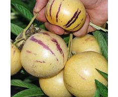 ZHOUBAA Semi per piantare, 100 pezzi semi di pepino melone dolce frutta verdura bonsai giardino giardino giardino pianta rara - semi di pepino