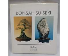 Bonsai-Suiseki