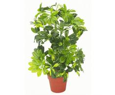Schefflera arboricola artificiale (pianta ombrello), in vaso di plastica nero, capella oro, 75 cm
