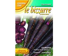 SEMI DI CAROTA viola PURPLE HAZE IBRIDO F1 - FANCHI SEMENTI -SEMENTI SELEZIONATE GLBZ 23/46 BUSTINA GR 0,3