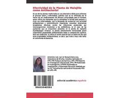 Efectividad de la Planta de Malojillo como Antibacterial: Cymbopogon citratus