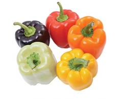 Semi di peperoncini colorati 50+ peperoni dolci peperoncino arcobaleno semi di semi biologici non OGM verdure verdi erba per giardino domestico cortile esterno fattoria piantare